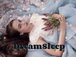 DreamSleep