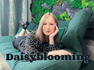 Daisyblooming