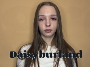 Daisyburland