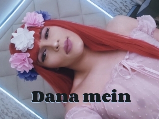 Dana_mein