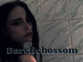 Darellebossom