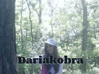 Dariakobra