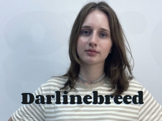 Darlinebreed