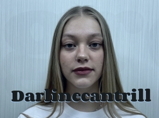 Darlinecantrill