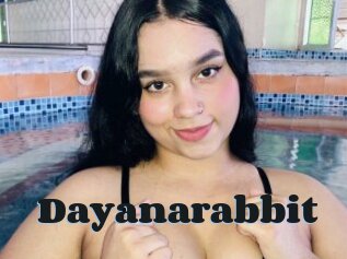 Dayanarabbit