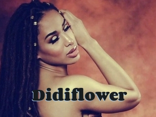 Didiflower