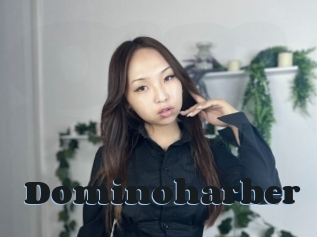 Dominoharber