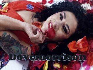 Dovemorrison