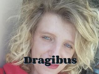 Dragibus