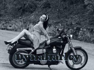 Dynaharley