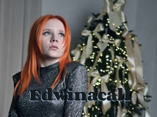 Edwinacall