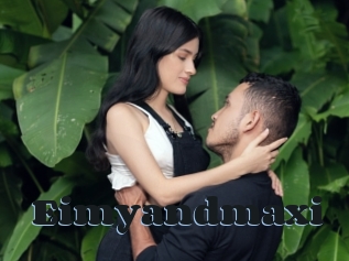Eimyandmaxi