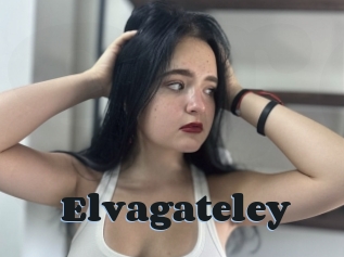 Elvagateley