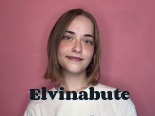 Elvinabute