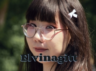Elvinagitt
