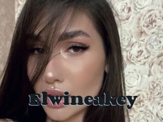 Elwineakey