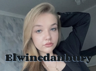 Elwinedanbury