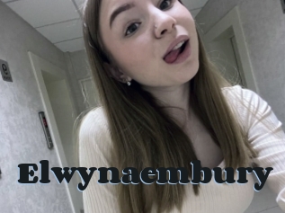 Elwynaembury