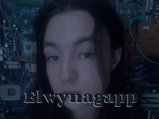 Elwynagapp