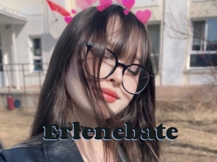 Erlenebate