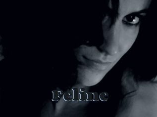 Feline
