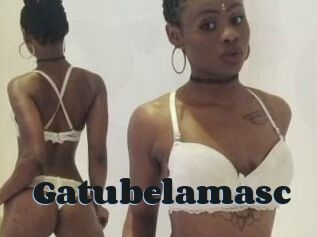 Gatubela_masc