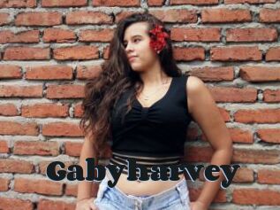 Gabyharvey