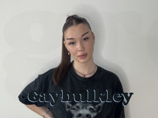 Gaybulkley
