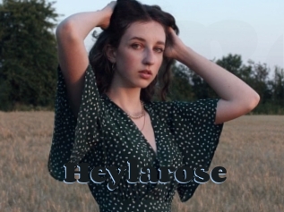 Heylarose