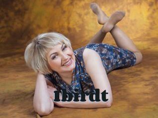 Ibirdt