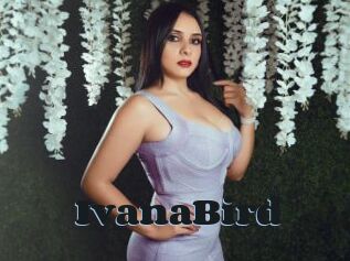 IvanaBird