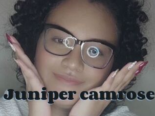 Juniper_camrose