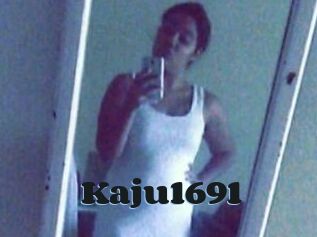 Kaju1691