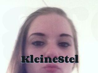 KleineStel