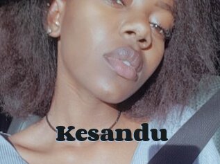 Kesandu