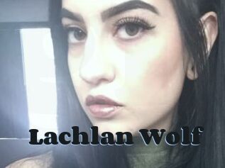 Lachlan_Wolf