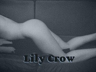 Lily_Crow