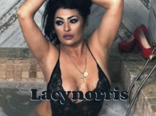 Lacynorris