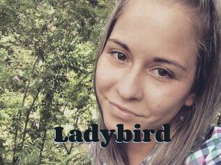 Ladybird