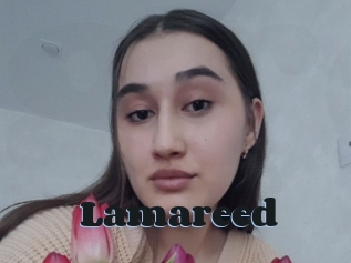 Lamareed