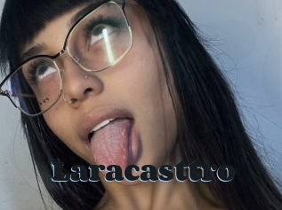 Laracasttro