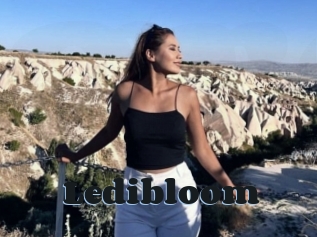 Ledibloom