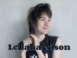 Leilaharvison