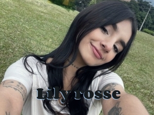 Lily_rosse