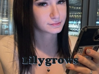 Lilygrows