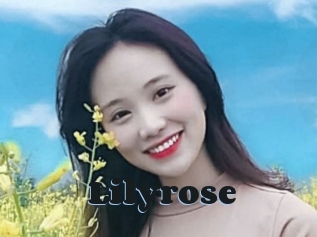 Lilyrose