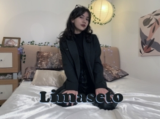 Limaseto