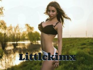 Littlekimx