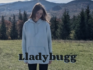 Lladybugg