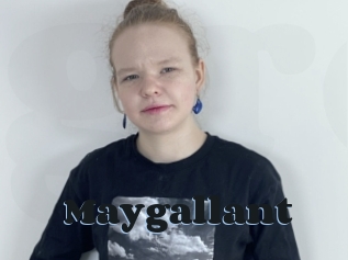 Maygallant